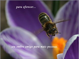 para oferecer... seu ombro amigo para mais pessoas. 