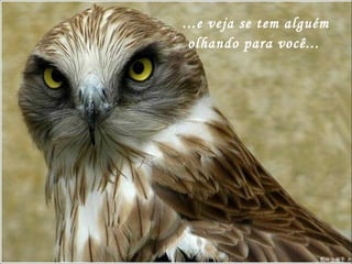 ...e veja se tem alguém olhando para você...  