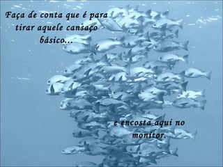 Faça de conta que é para tirar aquele cansaço básico... e encosta aqui no monitor. 