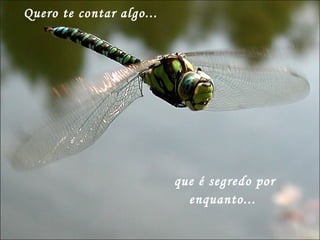 Quero te contar algo... que é segredo por enquanto...  