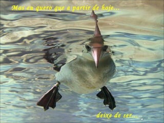 Mas eu quero que a partir de hoje... deixe de ser... 