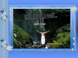 UM TRIBUTO A VOCÊ ... De Sidnei Piedade Ligue o som 