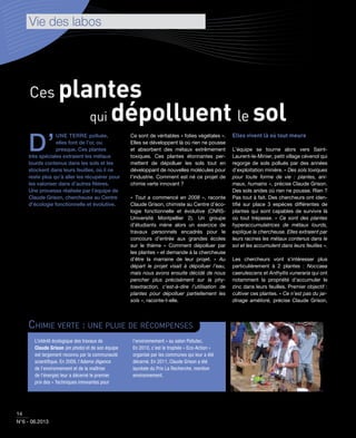 14
N°6 - 06.2013
D’
UNE TERRE polluée,
elles font de l’or, ou
presque. Ces plantes
très spéciales extraient les métaux
lourds contenus dans les sols et les
stockent dans leurs feuilles, où il ne
reste plus qu’à aller les récupérer pour
les valoriser dans d’autres ﬁlières.
Une prouesse réalisée par l’équipe de
Claude Grison, chercheuse au Centre
d’écologie fonctionnelle et évolutive.
Ce sont de véritables « folies végétales ».
Elles se développent là où rien ne pousse
et absorbent des métaux extrêmement
toxiques. Ces plantes étonnantes per-
mettent de dépolluer les sols tout en
développant de nouvelles molécules pour
l’industrie. Comment est né ce projet de
chimie verte innovant ?
« Tout a commencé en 2008 », raconte
Claude Grison, chimiste au Centre d’éco-
logie fonctionnelle et évolutive (CNRS-
Université Montpellier 2). Un groupe
d’étudiants mène alors un exercice de
travaux personnels encadrés pour le
concours d’entrée aux grandes écoles
sur le thème « Comment dépolluer par
les plantes » et demande à la chercheuse
d’être la marraine de leur projet. « Au
départ le projet visait à dépolluer l’eau,
mais nous avons ensuite décidé de nous
pencher plus précisément sur la phy-
toextraction, c'est-à-dire l’utilisation de
plantes pour dépolluer partiellement les
sols », raconte-t-elle.
Elles vivent là où tout meure
L’équipe se tourne alors vers Saint-
Laurent-le-Minier, petit village cévenol qui
regorge de sols pollués par des années
d’exploitation minière. « Des sols toxiques
pour toute forme de vie : plantes, ani-
maux, humains », précise Claude Grison.
Des sols arides où rien ne pousse. Rien ?
Pas tout à fait. Des chercheurs ont iden-
tiﬁé sur place 3 espèces différentes de
plantes qui sont capables de survivre là
où tout trépasse. « Ce sont des plantes
hyperaccumulatrices de métaux lourds,
explique la chercheuse. Elles extraient par
leurs racines les métaux contenus dans le
sol et les accumulent dans leurs feuilles ».
Les chercheurs vont s’intéresser plus
particulièrement à 2 plantes : Noccaea
caerulescens et Anthyllis vuneraria qui ont
notamment la propriété d’accumuler le
zinc dans leurs feuilles. Premier objectif :
cultiver ces plantes. « Ce n’est pas du jar-
dinage amélioré, précise Claude Grison,
Ces plantes
dépolluent le solqui
L’intérêt écologique des travaux de
Claude Grison (en photo) et de son équipe
est largement reconnu par la communauté
scientiﬁque. En 2009, l’Ademe (Agence
de l’environnement et de la maîtrise
de l’énergie) leur a décerné le premier
prix des « Techniques innovantes pour
l’environnement » au salon Pollutec.
En 2010, c’est le trophée « Eco-Action »
organisé par les communes qui leur a été
décerné. En 2011, Claude Grison a été
lauréate du Prix La Recherche, mention
environnement.
CHIMIE VERTE : UNE PLUIE DE RÉCOMPENSES
 