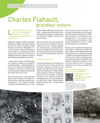 22
N°6 - 06.2013
Charles Flahault,
grandeur nature
L
A BIBLIOTHÈQUE universitaire
de l’Université Montpellier 2
consacre une exposition
exceptionnelle au célèbre botaniste
Charles Flahault.
Enseignant, voyageur, forestier, humaniste,
il était tout ça à la fois. Né dans le Nord de
la France en 1852, le botaniste Charles
Flahault s’est illustré à Montpellier où il
a créé le premier institut de botanique et
s’est consacré au reboisement du Mont
Aigoual. Pour entrer dans l’intimité de ce
botaniste visionnaire, poussez la porte de
la bibliothèque universitaire des sciences…
« Nous avons un fonds de 2000 images
des collections Flahault qui n’avaient ja-
mais été exposées », explique Boris Bous-
cayrol qui a participé à l’organisation de
l’exposition. « Nous avons voulu les mettre
en scène de façon ludique pour faire entrer
les visiteurs dans son univers ».
Dès les premiers pas, nous pénétrons
dans le jardin d’enfance de Charles Fla-
hault, là-même où est née sa passion pour
la botanique. « Pour amener le visiteur
à ressentir l’émerveillement qu’a connu
Charles Flahault enfant dans le jardin de sa
mère », souligne Boris Bouscayrol. Banc
de bois, album de famille, montage sonore
et composition végétale, vous êtes bien
dans son jardin.
Dans la deuxième scène de l’exposition,
nous entrons dans la salle de classe où
il donnait ses cours. Paillasse, tableau
noir, traces de craie… et cette présence,
comme si Charles Flahault venait de quit-
ter la pièce quelques minutes auparavant
pour emmener ses étudiants en sortie sur
le terrain.
Éveiller des vocations
Le troisième tableau nous immerge dans
le laboratoire de ce précurseur de la
botanique, partager sa recherche, ses
voyages, son rôle majeur dans l’organi-
sation de la botanique. Charles Flahault
a été le premier à introduire l’écologie en
France à la ﬁn du 19e
siècle. « C’est aussi
le premier à avoir utilisé les techniques
photographiques à des ﬁns scientiﬁques.
Un siècle avant Avatar, Charles Flahault
faisait de la photo 3D », souligne Boris
Bouscayrol.
Enﬁn la dernière scène de l’expo nous
emmène sur les pentes du Mont Aigoual,
terrain de travail du botaniste qui a notam-
ment contribué à son reboisement avec
Georges Fabre. « J’ai entrepris le pari
fou de faire pousser des arbres où Dieu
lui-même semble avoir échoué », disait
Charles Flahault, qui y est parvenu.
Petite-cousine de Charles et fondatrice de
l’association « Présence de Charles Fla-
hault », Marie-France Flahault se réjouit de
la visibilité donnée au travail de son aïeul.
« J’espère que les jeunes chercheurs vont
s’emparer de ce fonds photographique
et que cette exposition contribuera à leur
redonner le goût de la botanique ». Près
de 80 ans après sa mort, le botaniste
visionnaire peut continuer à éveiller des
vocations… 
L’exposition « Flahault, grandeur nature » est
visible à la BU jusqu’au 19 juillet 2013.
Le fonds photographique est
consultable sur
...www.collections.univ-montp2.fr/
les-collections-de-lum2/
phototheque-flahault
De gauche à droite :
1. Groupe d'herboristes dans un vallon
près du col de Lacan (1904) © J. Lagarde
2. Iconographie protistes. Archives Fisher
3. Charles Flahault au Jardin des plantes
de Montpellier.
Événement
 