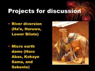 Projects for discussion River diversion (Ha’a, Horuwa, Lower Bilate) Micro earth dams (Haro Abas, Kokaye Sama, and Sebente) 