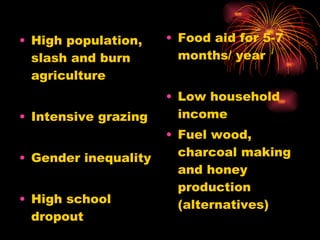 High population, slash and burn agriculture Intensive grazing Gender inequality High school dropout Malnutrition Food aid for 5-7 months/ year Low household income Fuel wood, charcoal making and honey production (alternatives) Semi pastoral lifestyle 