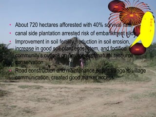 About 720 hectares afforested with 40% survival rate,  canal side plantation arrested risk of embankment slide. Improvement in soil fertility, reduction in soil erosion, increase in good soil-plant ecosystem, and fortified community’s outlook on environment/natural resource conservation.  Road construction and maintenance eased village to village communication, created good market access  MDG 7 