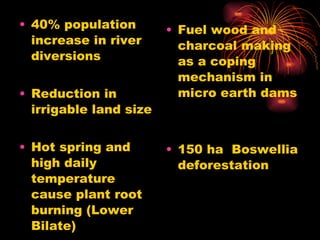 40% population increase in river diversions Reduction in irrigable land size Hot spring and high daily temperature cause plant root burning (Lower Bilate) Fuel wood and charcoal making as a coping mechanism in micro earth dams 150 ha  Boswellia deforestation 