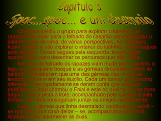 Charlene dividiu o grupo para explorar o labirinto: os rapazes vão subir para o telhado do casarão para fotografar o labirinto visto de cima, de várias perspectivas. As raparigas ficam comigo e vão explorar o interior do labirinto, Luísa segues pela direita e Teresa segues pela esquerda, levem papel quadriculado para desenhar os percursos que dão saída. No cimo do telhado os rapazes viam muito bem o jardim, o lago e um pequeno bosque e as gémeas circulando dentro do labirinto. Perceberam que uma das gémeas caiu e não se levantou e foram em seu auxilio. Cada um tomou um caminho diferente, mas rapidamente se deram conta que estavam perdidos. O João chamou o Faial e este ao ouvir a voz do dono seguiu – lhe a pista a trote, acompanhado pelo Caracol e pela Soraia. Os cães conseguiram juntar os amigos rapidamente. Luísa, a gémea que tinha desmaiado continuava a sentir – se mal e foi para casa deitar – se, acompanhada pela irmã. Acabaram por adormecer as duas. Capitulo 3 Spoc...spoc... e um desmaio 