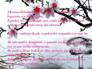 Mesmo distante, dentro do meu universo, eu te buscava, eu te sonhava. E podes ter certeza, de que cada momento, de que cada pensamento meu, foi sincero. Você me cativou desde o primeiro segundo em que te vi. Tu não podes imaginar, o quanto eu fiquei feliz, em te ver nesse verão novamente. Eu pedi a Deus todos os dias para te trazer perto de mim outra vez. E nesse ano que passou, dentro do meu coração só restou uma saudade. 