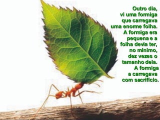 Outro dia,  vi uma formiga  que carregava  uma enorme folha.  A formiga era  pequena e a  folha devia ter,  no mínimo,  dez vezes o  tamanho dela.  A formiga a carregava  com sacrifício. 