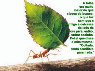 A folha  era muito  maior do que  a boca do buraco,  o que fez  com que a  formiga a deixasse  do lado de  fora para, então,  entrar sozinha.  Foi aí que disse  a mim mesmo:  “Coitada,  tanto sacrifício  para nada.” 