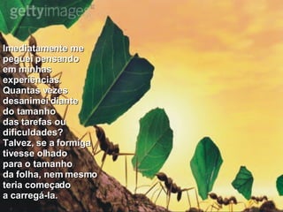 Imediatamente me  peguei pensando  em minhas  experiências.  Quantas vezes  desanimei diante  do tamanho  das tarefas ou  dificuldades? Talvez, se a formiga  tivesse olhado  para o tamanho  da folha, nem mesmo  teria começado  a carregá-la. 