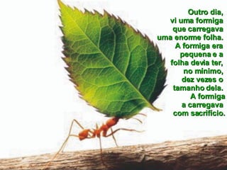 Outro dia,  vi uma formiga  que carregava  uma enorme folha.  A formiga era  pequena e a  folha devia ter,  no mínimo,  dez vezes o  tamanho dela.  A formiga a carregava  com sacrifício. 