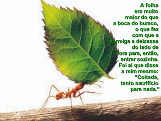 A folha  era muito  maior do que  a boca do buraco,  o que fez  com que a  formiga a deixasse  do lado de  fora para, então,  entrar sozinha.  Foi aí que disse  a mim mesmo:  “Coitada,  tanto sacrifício  para nada.” 