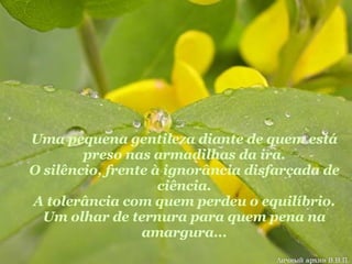 Uma pequena gentileza diante de quem está preso nas armadilhas da ira. O silêncio, frente à ignorância disfarçada de ciência. A tolerância com quem perdeu o equilíbrio. Um olhar de ternura para quem pena na amargura... 