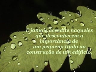 E jamais acredite naqueles que desconhecem a importância de  um pequeno tijolo na construção de um edifício. 