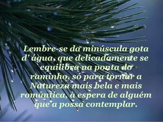 Lembre-se da minúscula gota d’ água, que delicadamente se  equilibra na ponta do raminho, só para tornar a Natureza mais bela e mais romântica, à espera de alguém que a possa contemplar. 