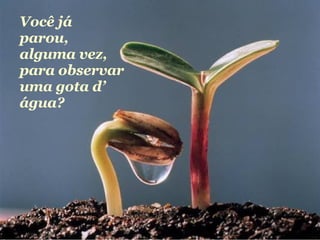 Você já parou, alguma vez, para observar uma gota d’ água? 