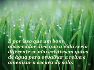 É por isso que um bom observador dirá que a vida seria diferente se não existissem gotas de água para orvalhar a relva e amenizar a secura do solo. 