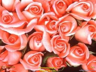 Uma Historia De Amor