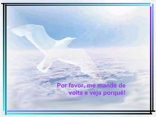 Por favor, me mande de volta e veja porquê! 