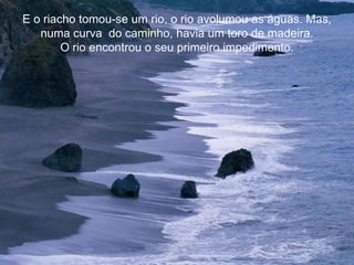 E o riacho tomou-se um rio, o rio avolumou as águas. Mas,
   numa curva do caminho, havia um toro de madeira.
        O rio encontrou o seu primeiro impedimento.
 