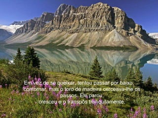 Em vez de se queixar, tentou passar por baixo,
contornar, mas o toro de madeira cerceava-lhe os
               passos. Ele parou,
      cresceu e o transpôs tranquilamente.
 