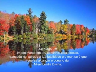 Se surge um
     impedimento em teu caminho, cala, cresce,
transpõe-no, porque a tua fatalidade é o mar, se é que
            queres alcançar o oceano da
                 Misericórdia Divina.
 