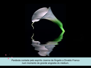 Parábola contada pelo espírito Joanna de Ângelis a Divaldo Franco
          num momento de grande angústia do médium.
 