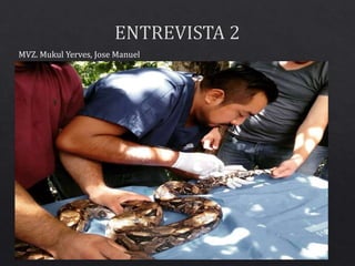 MVZ. Mukul Yerves, Jose Manuel