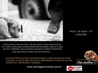 Esse cachorro não tem nome, não tem dono e muito menos tem um lar, muitas vezes passa desapercebido pela população, essa foi a idéia que tive ( fotografo ) para que todos parassem e olhasse diretamente para seus olhos e visse o que ele transmite....   Brasil - São Paulo – SP 14/06/2006 Com esse PPS quero fazer minha Homenagem, a todos aqueles que Amam os Animais, e aos que alem de Amá-los, disponibilizam um tempo de sua Vida cuidando dos  abandonados e rejeitados..... www.mensagensvirtuais.com.br 