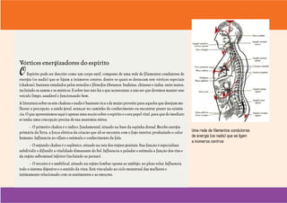 Uma visão incomum do ser humano