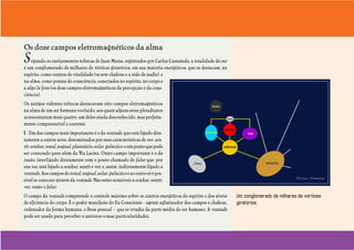 Uma visão incomum do ser humano