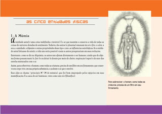 Uma visão incomum do ser humano