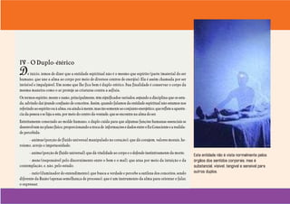 Uma visão incomum do ser humano