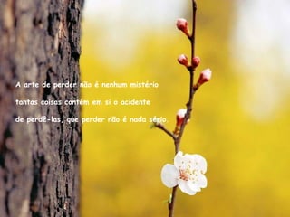 A arte de perder não é nenhum mistério tantas coisas contém em si o acidente de perdê-las, que perder não é nada sério. 