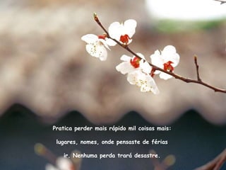 Pratica perder mais rápido mil coisas mais: lugares, nomes, onde pensaste de férias ir. Nenhuma perda trará desastre. 