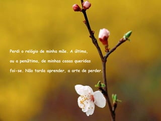 Perdi o relógio de minha mãe. A última, ou a penúltima, de minhas casas queridas foi-se. Não tarda aprender, a arte de perder. 