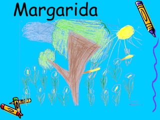 Margarida 