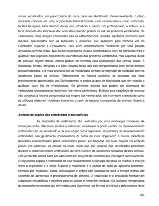 293
outros vertebrados, um plano básico do corpo pode ser identificado. Presumivelmente, o plano
ancestral consiste em uma organização bilateral tubular, com características como notocorda,
fendas faríngeas, tubo nervoso dorsal oco, vértebras e crânio. Um protocordado, o anfioxo, e a
larva amocete das lampréias dão uma idéia de como podem ter sido os primeiros vertebrados. Os
vertebrados mais antigos conhecidos são os ostracodermes, animais aquáticos primitivos sem
maxilas, aparentados com as lampréias e feiticeiras, que aparecem pela primeira vez no
Cambriano superior e Ordoviciano. Eles eram completamente recobertos por uma pesada
armadura dérmica óssea. Não foram encontrados fósseis intermediários entre os ostracodermes e
qualquer dos supostos progenitores invertebrados dos primeiros vertebrados, mas algumas idéias
da possível origem destes últimos podem ser inferidas pela comparação das formas atuais. A
notocorda, fendas faríngeas e o tubo nervoso dorsal oco são compartilhados com certos animais
protovertebrados, e é mais provável que os vertebrados tenham se originado de cordados com os
caracteres gerais do anfioxo. Retrocedendo na história evolutiva, os cordados são mais
proximamente aparentados aos Echinodermata e certos grupos de lofoforados que em relação a
qualquer outro filo de invertebrados. Os primeiros animais que podem ser chamados de
vertebrados provavelmente evoluíram nos mares cambrianos. Embora esta seqüência de eventos
não constitua a história comprovada das origens dos vertebrados, ela é um bom exemplo de como
os biólogos elaboram hipóteses evolutivas a partir de estudos comparados de animais fósseis e
atuais.
Sistema de órgãos dos vertebrados e sua evolução
As atividades de vertebrados são realizadas por uma morfologia complexa. As
interações entre diferentes tecidos e estruturas constituem o ponto central no desenvolvimento
embrionário de um vertebrado e da sua função como organismo. Os padrões de desenvolvimento
embrionário são geralmente conservativos do ponto de vista filogenético e muitos caracteres
derivados compartilhados pelos vertebrados podem ser traçados em suas origens no embrião
jovem. Em particular, as células da crista neural que são próprias dos vertebrados participam
durante o desenvolvimento embrionário de certo número de caracteres derivados destes animais.
Um vertebrado adulto pode ser visto como um conjunto de sistemas que interagem continuamente.
O tegumento separa o vertebrado de seu meio ambiente e participa da troca de matéria e energia
entre o organismo e o meio. Suporte e movimento é o campo de ação do aparelho locomotor,
formado por músculos, ossos, articulações e ambos são necessários para a função efetiva dos
sistemas de apreensão e processamento do alimento. A respiração e a circulação transportam
substratos metabólicos e oxigênio para os tecidos e removem resíduos. Os resíduos nitrogenados
do metabolismo protéico são eliminados pelo tegumento nas formas primitivas e pelo sistema renal
 