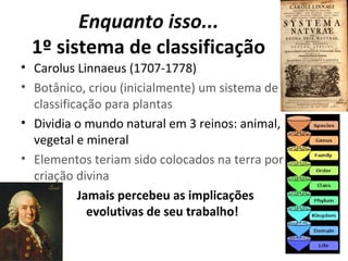 Enquanto isso...
1º sistema de classificação
• Carolus Linnaeus (1707-1778)
• Botânico, criou (inicialmente) um sistema de
classificação para plantas
• Dividia o mundo natural em 3 reinos: animal,
vegetal e mineral
• Elementos teriam sido colocados na terra por
criação divina
•
Jamais percebeu as implicações
evolutivas de seu trabalho!

 