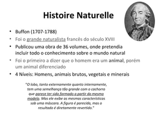 Histoire Naturelle
• Buffon (1707-1788)
• Foi o grande naturalista francês do século XVIII
• Publicou uma obra de 36 volumes, onde pretendia
incluir todo o conhecimento sobre o mundo natural
• Foi o primeiro a dizer que o homem era um animal, porém
um animal diferenciado
• 4 Níveis: Homens, animais brutos, vegetais e minerais
“O lobo, tanto externamente quanto internamente,
tem uma semelhança tão grande com o cachorro
que parece ter sido formado a partir do mesmo
modelo. Mas ele exibe as mesmas características
sob uma máscara. A figura é parecida, mas o
resultado é diretamente revertido.”

 