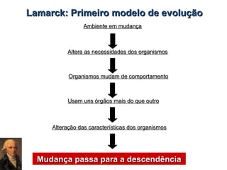 Lamarck: Primeiro modelo de evolução
Ambiente em mudança

Altera as necessidades dos organismos

Organismos mudam de comportamento

Usam uns órgãos mais do que outro

Alteração das características dos organismos

Mudança passa para a descendência

 