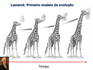 Lamarck: Primeiro modelo de evolução

Tempo

 