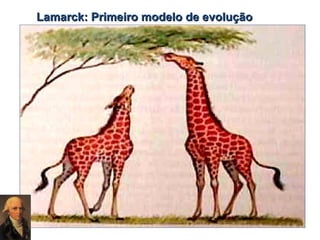 Lamarck: Primeiro modelo de evolução

 