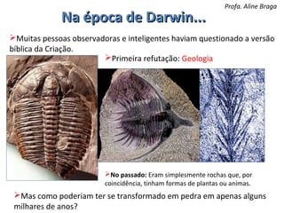 Na época de Darwin...

Profa. Aline Braga

Muitas pessoas observadoras e inteligentes haviam questionado a versão
bíblica da Criação.
Primeira refutação: Geologia

No passado: Eram simplesmente rochas que, por
coincidência, tinham formas de plantas ou animas.

Mas como poderiam ter se transformado em pedra em apenas alguns
milhares de anos?

 