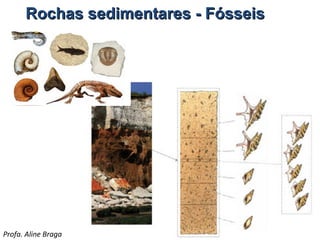 Rochas sedimentares - Fósseis

Profa. Aline Braga

 