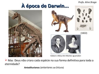 À época de Darwin...

Profa. Aline Braga

(1822)

Gideon e Mary Ann Mantel, Iguanodon

 Mas Deus não criara cada espécie na sua forma definitiva para toda a
eternidade?
Antediluvianos (anteriores ao Dilúvio)

 