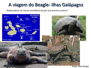 A viagem do Beagle- Ilhas Galápagos
“Nada poderia ser menos convidativo do que esse primeiro relance”

Profa. Aline Braga

 